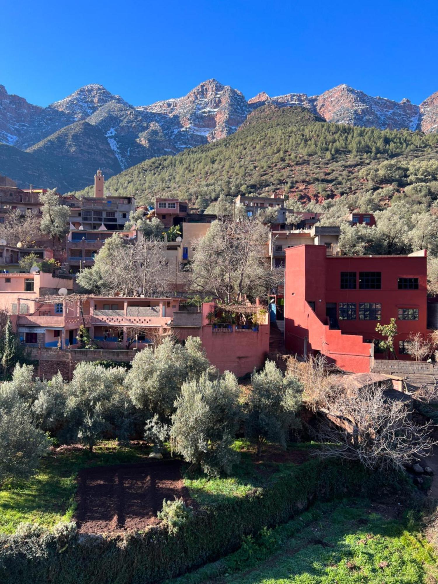 Tazart Lodge Marrakesh Ngoại thất bức ảnh