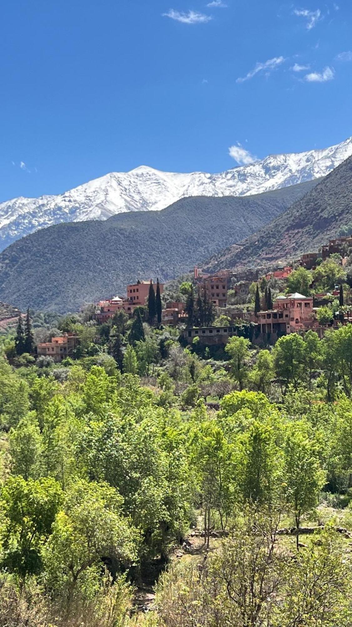 Tazart Lodge Marrakesh Ngoại thất bức ảnh