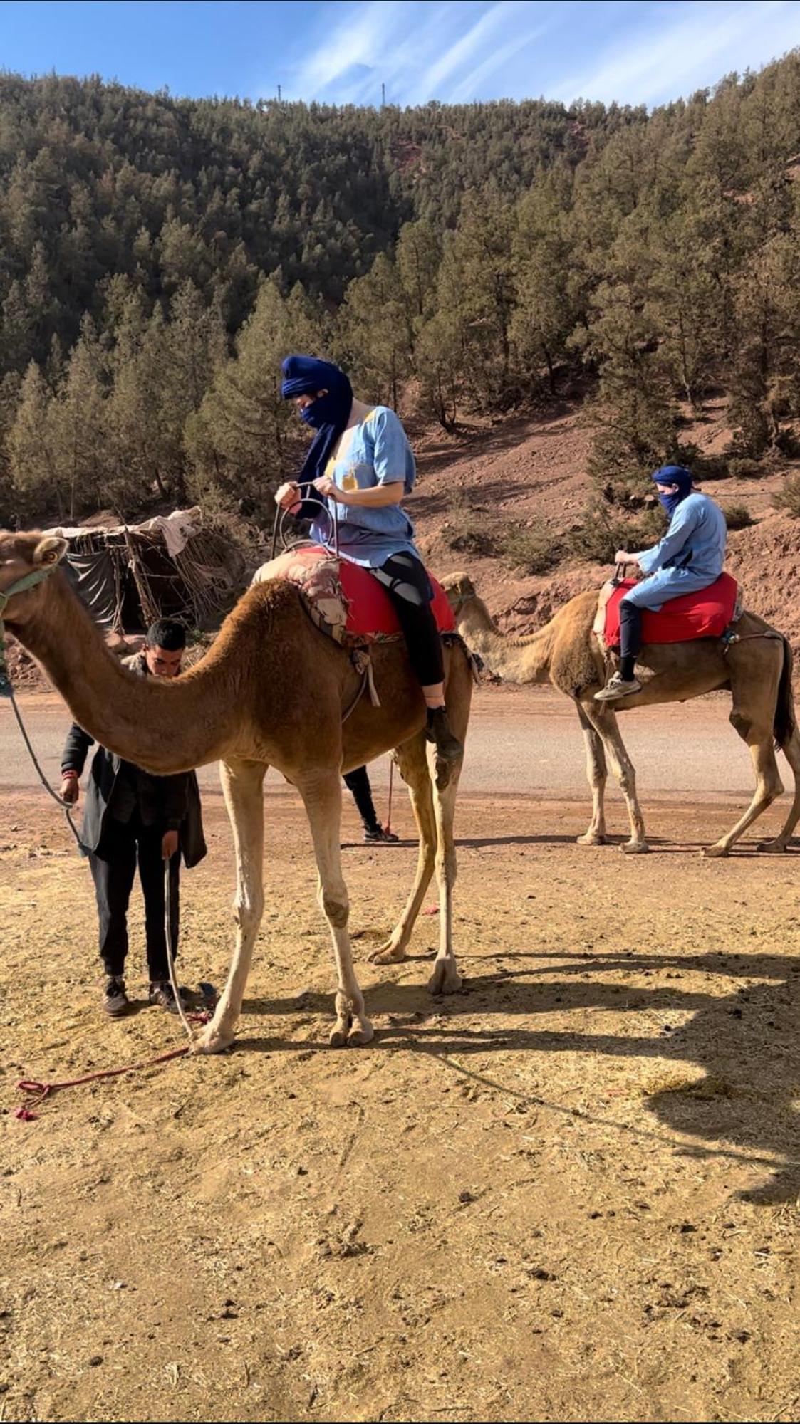 Tazart Lodge Marrakesh Ngoại thất bức ảnh